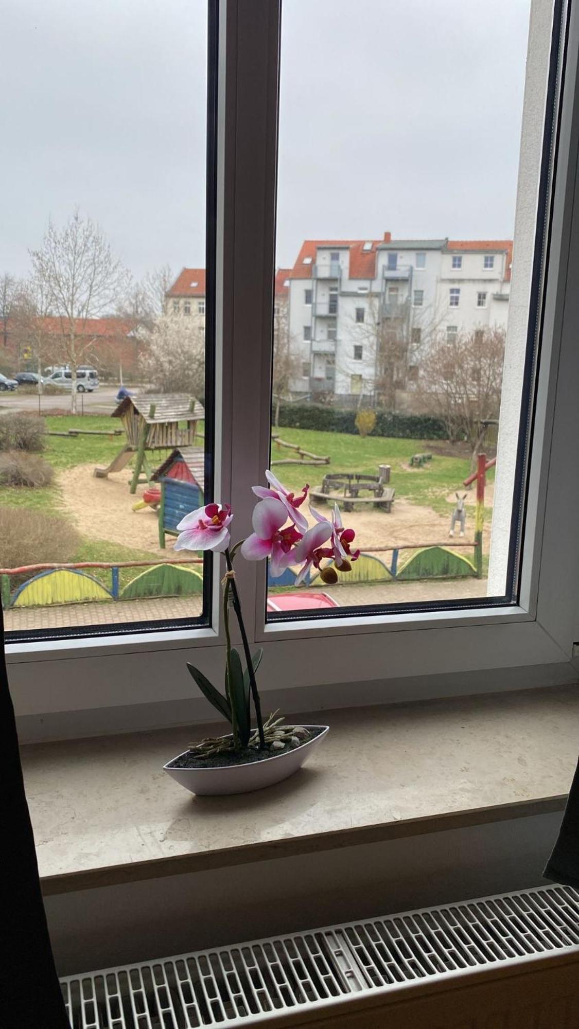 Fewo "Franzi" 5 Personen, Zentrale Lage, Parkplatz Dessau-Rosslau Екстериор снимка